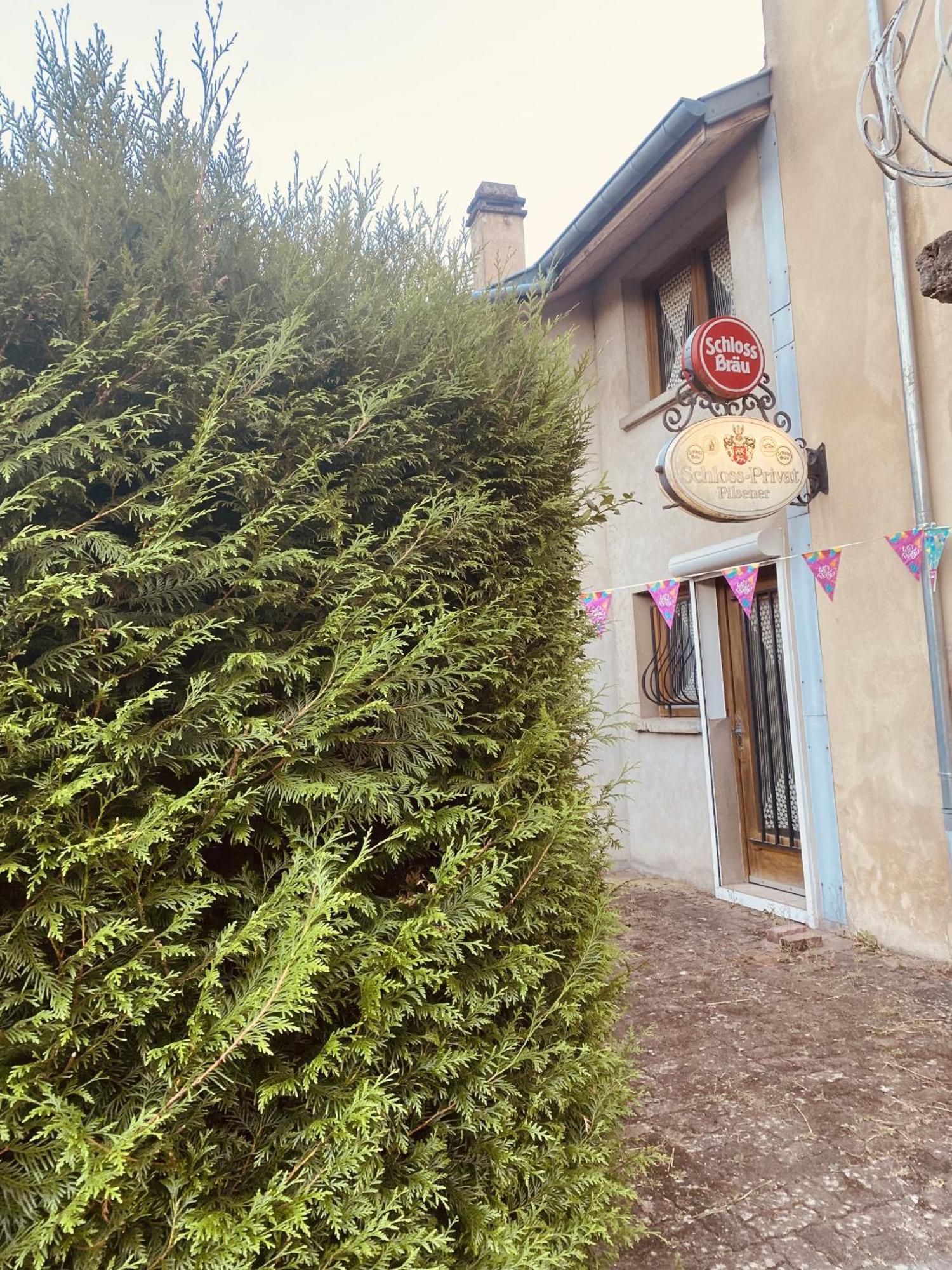 Villa La Mariefacture - Comme A La Guinguette ! Hombourg-Haut Exterior foto